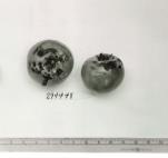 Click for 1 image(s) for this accession. FRUIT